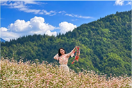 Lung Cu attracts visitors to Tuyen Quang as buckwheat flowers burst into bloom